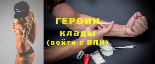 прущие грибы Сосновый Бор