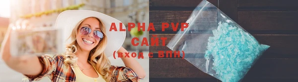 прущие грибы Сосновый Бор