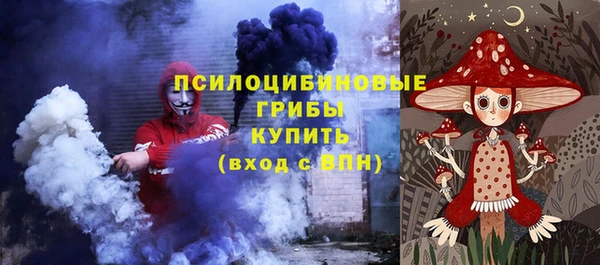 прущие грибы Сосновый Бор