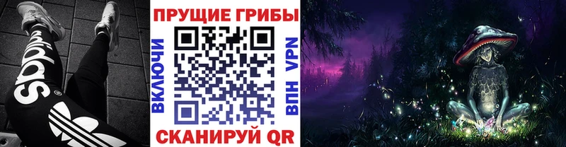 Галлюциногенные грибы Cubensis  купить закладку  Гаврилов-Ям 